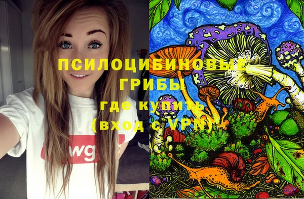 хмурый Абинск