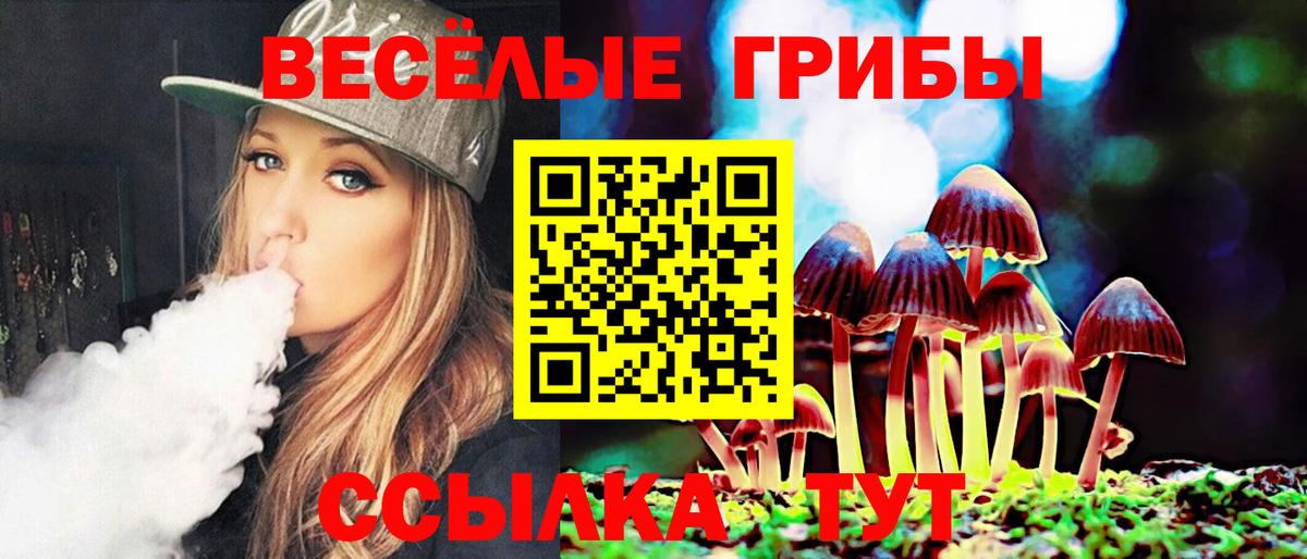 Смоленск  Галлюциногенные грибы ЛСД  Вход с VPN 