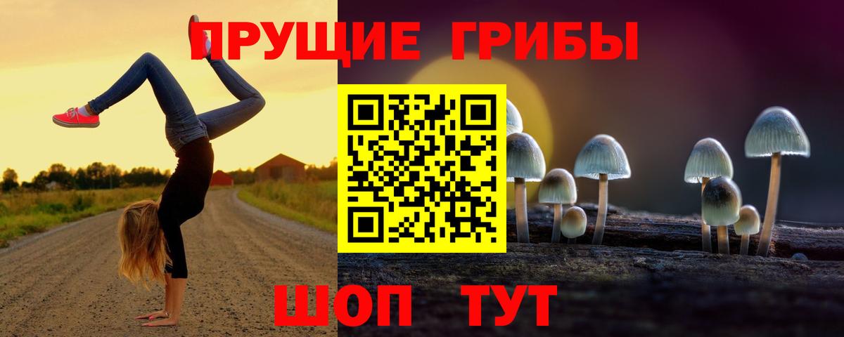 Псилоцибиновые грибы Psilocybine cubensis Смоленск